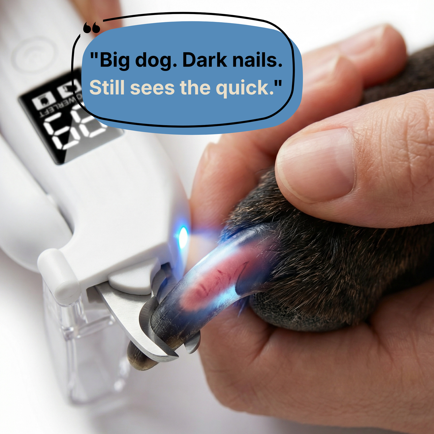 Dog nail trimmer being used on a dog's paw with a humorous text bubble.